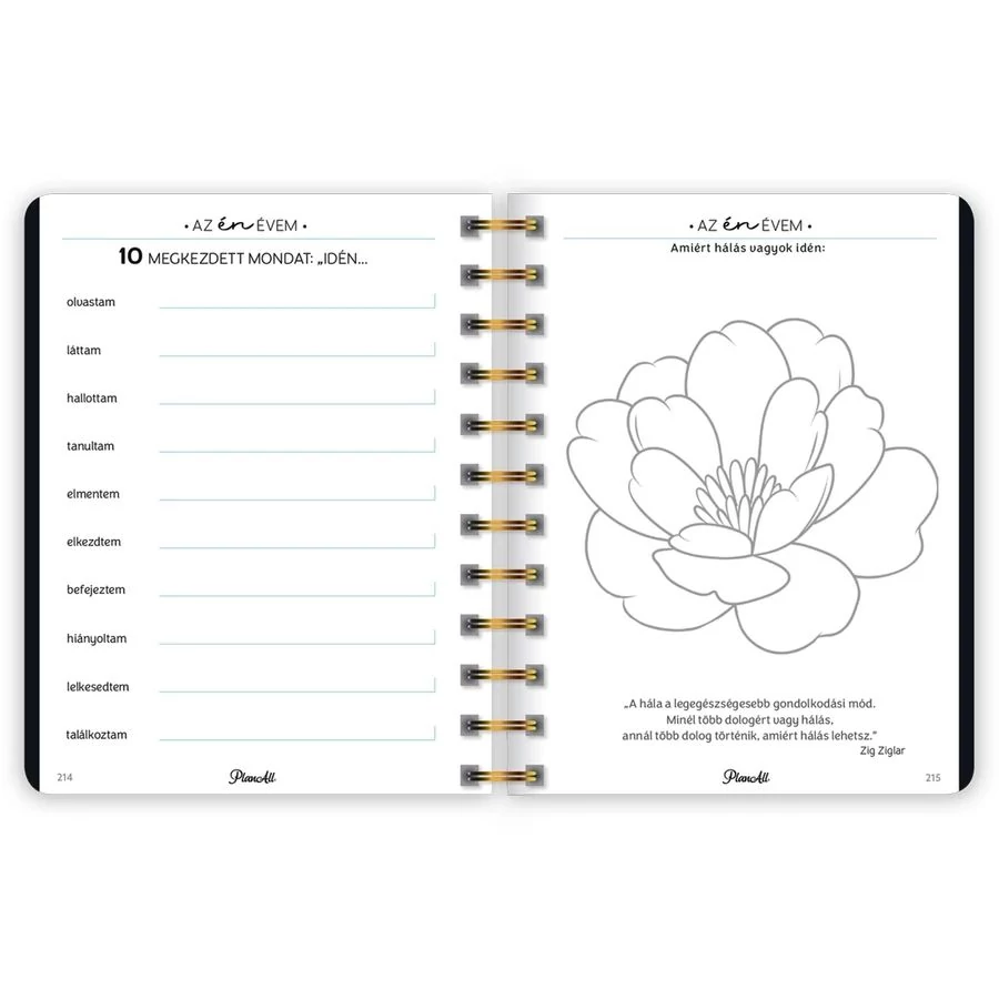 *54801 HATÁRIDŐNAPLÓ LIZZY 2026 PlanAll midi B6 classic spirálos heti tervező