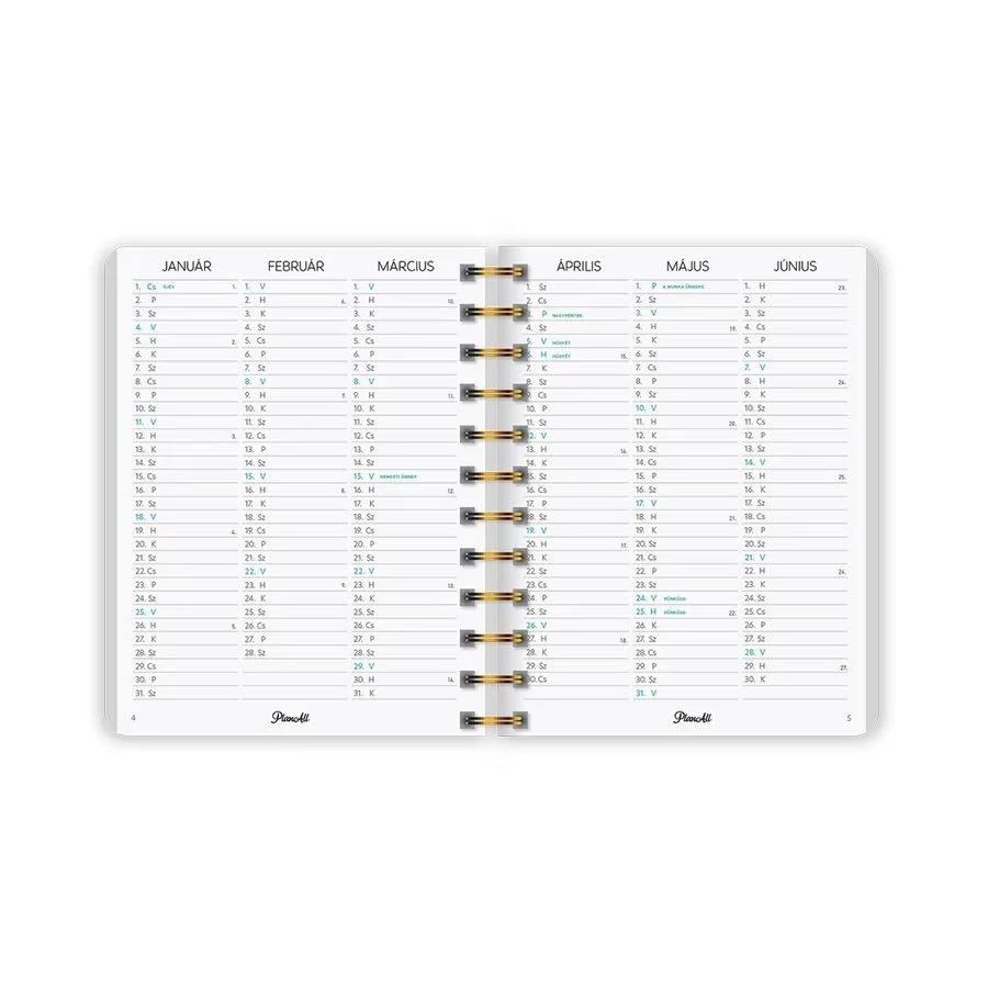 *54801 HATÁRIDŐNAPLÓ LIZZY 2026 PlanAll midi B6 classic spirálos heti tervező