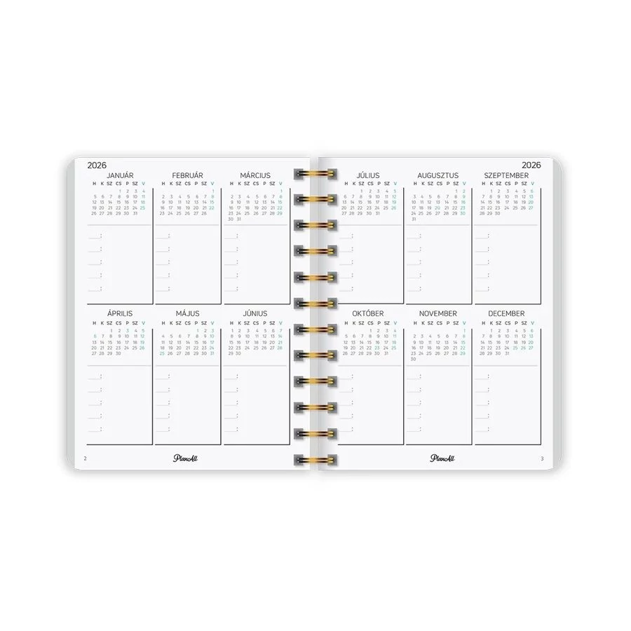 *54801 HATÁRIDŐNAPLÓ LIZZY 2026 PlanAll midi B6 classic spirálos heti tervező