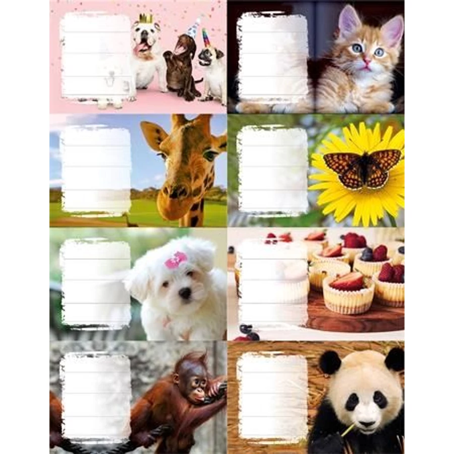 *55553 FÜZETCIMKE PANTA PLAST Girls/Boys  24db/cs