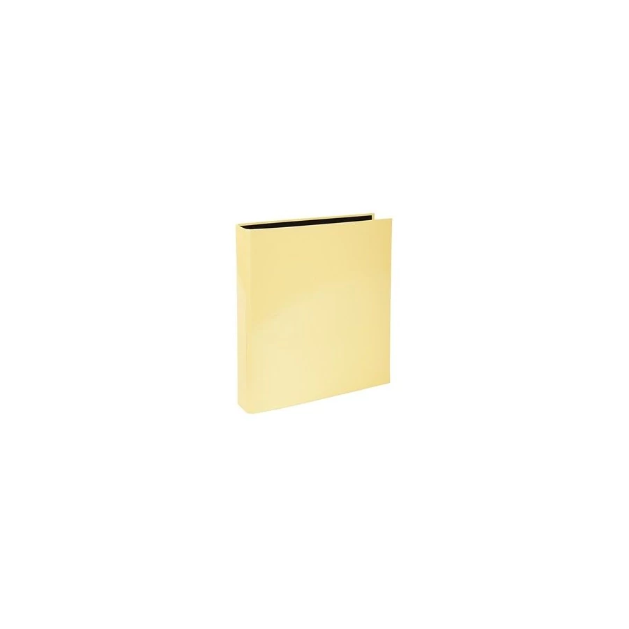 *56040 GYÜRÜSKÖNYV A4 Exacompta Aquarel  2ring 40mm