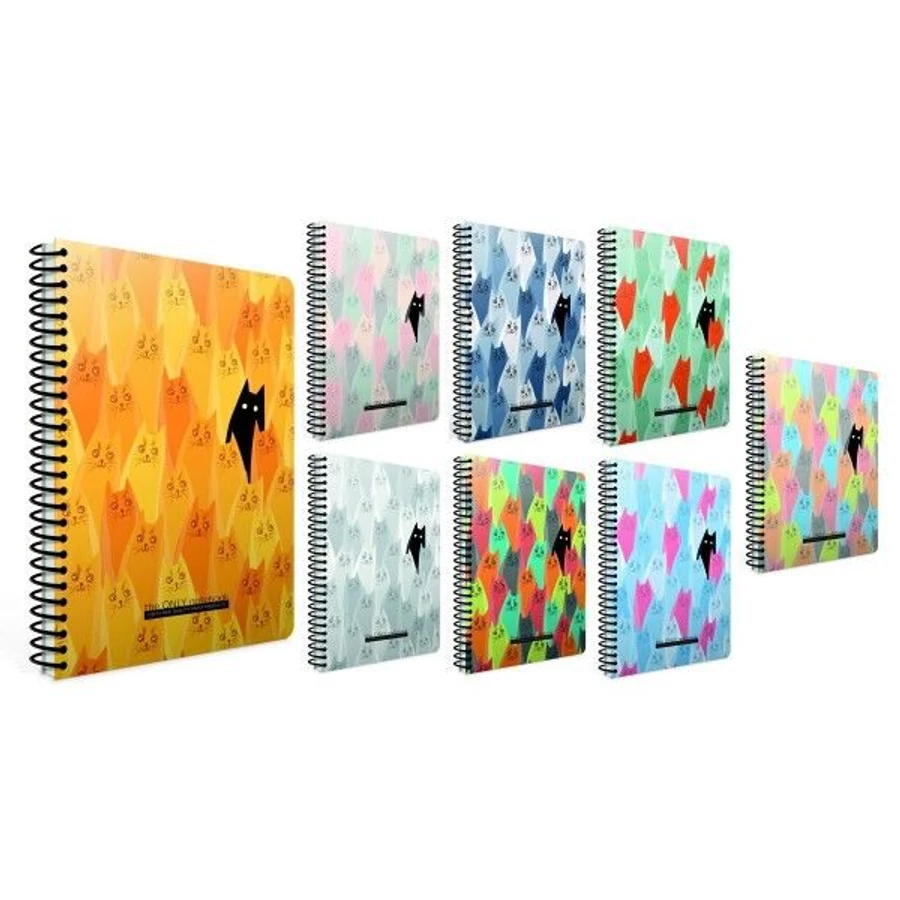 *56123 FÜZET spirál A4 GIPTA Only Notebook vonalas PP 100l   5074