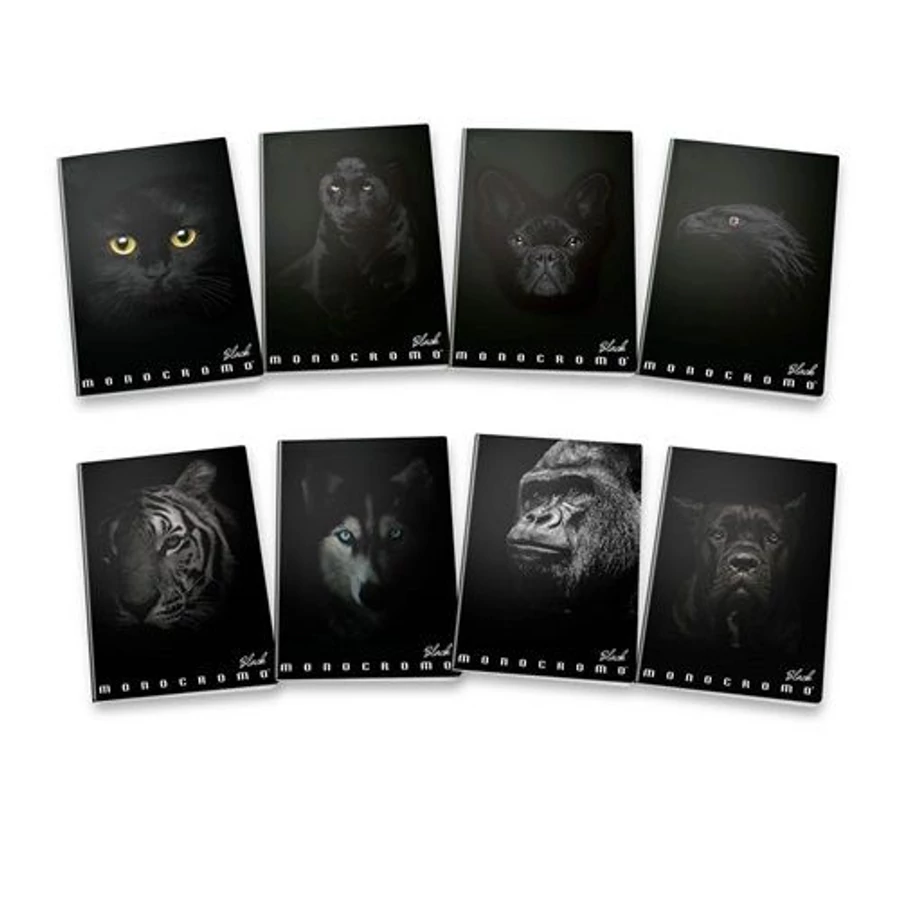 *56137 FÜZET A4 PIGNA sima 38lap Monocromo Black