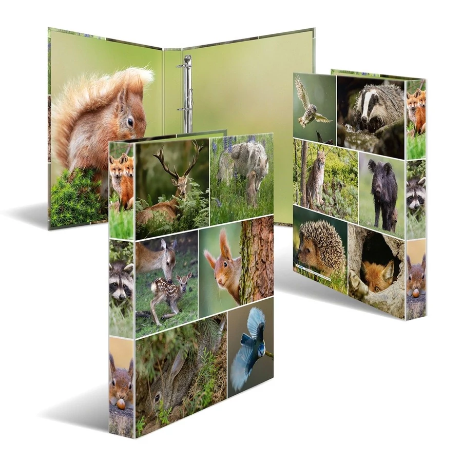 *56217 GYŰRŰSKÖNYV A4 4R HERMA karton