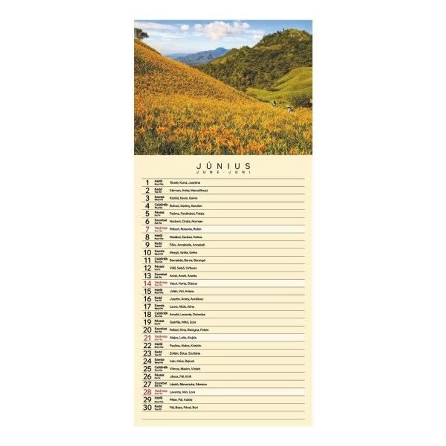 *56582 FALINAPTÁR 2026 Varázslatos tájakon keskeny spirálozott 21,5*49cm T099-02