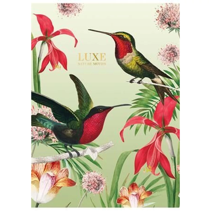 *57370 FÜZET A4  SHKOLYARYK kockás 40l