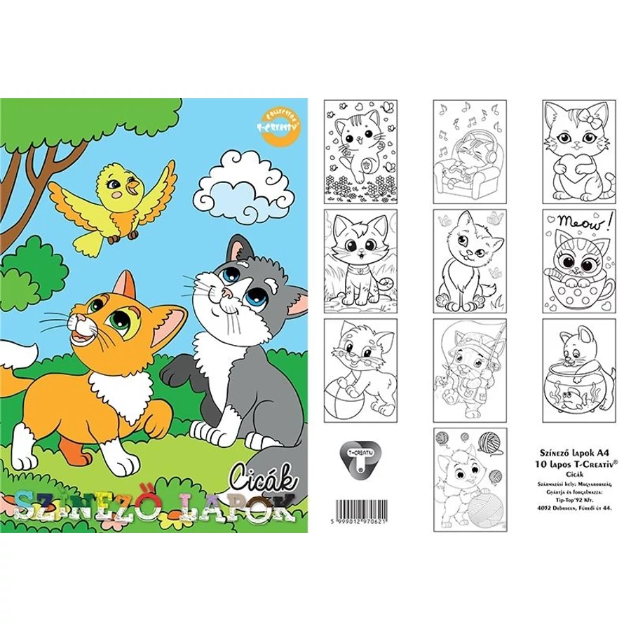 *57414 SZÍNEZŐ LAPOK A4 T-Creatív 10lap/cs. vegyes minta