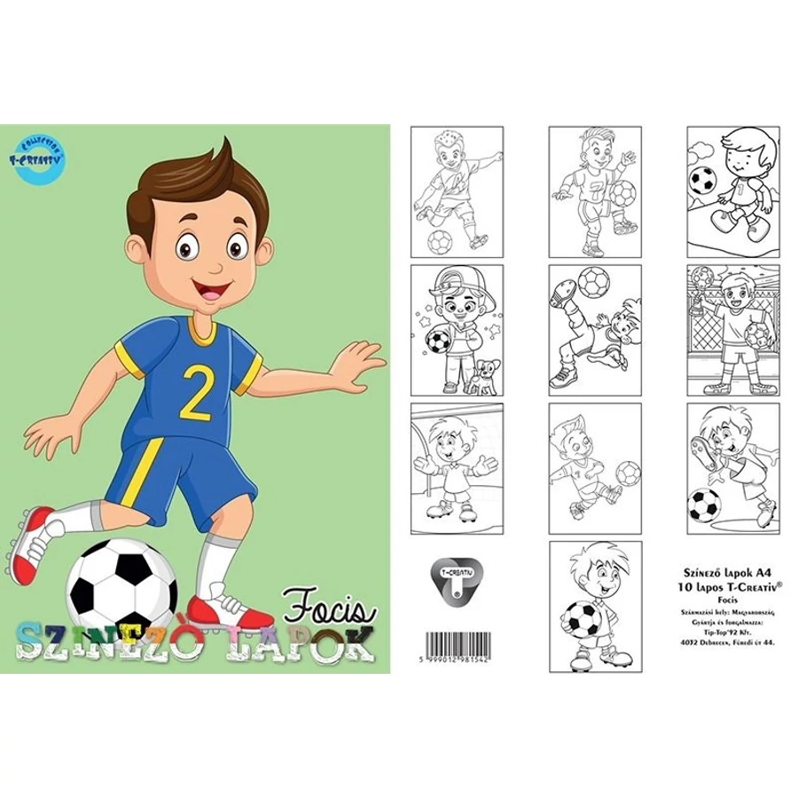 *57414 SZÍNEZŐ LAPOK A4 T-Creatív 10lap/cs. vegyes minta