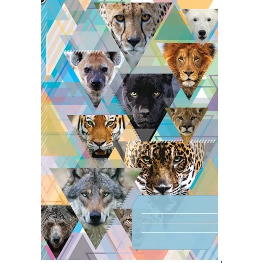 *57801 FÜZET A4 CONCARD mintás, 40l #,=, sima matt fóliázott UV lakkozott boritóval