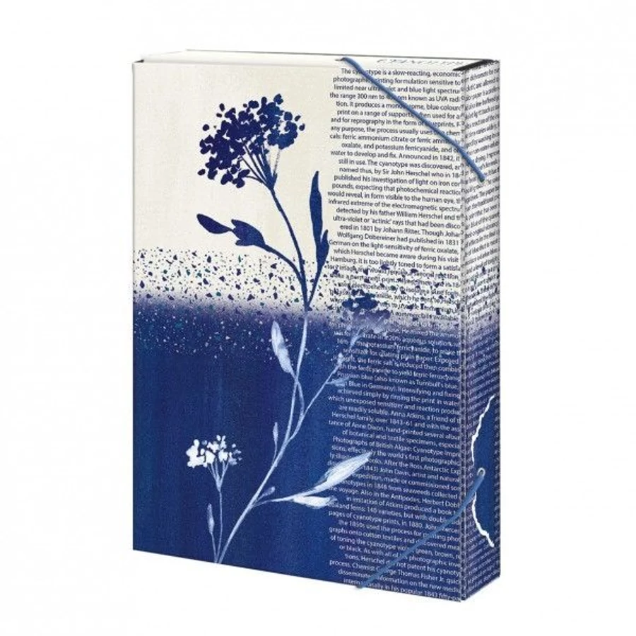 *57834 FÜZETBOX A4 ARGUS vegyes minta  1231-