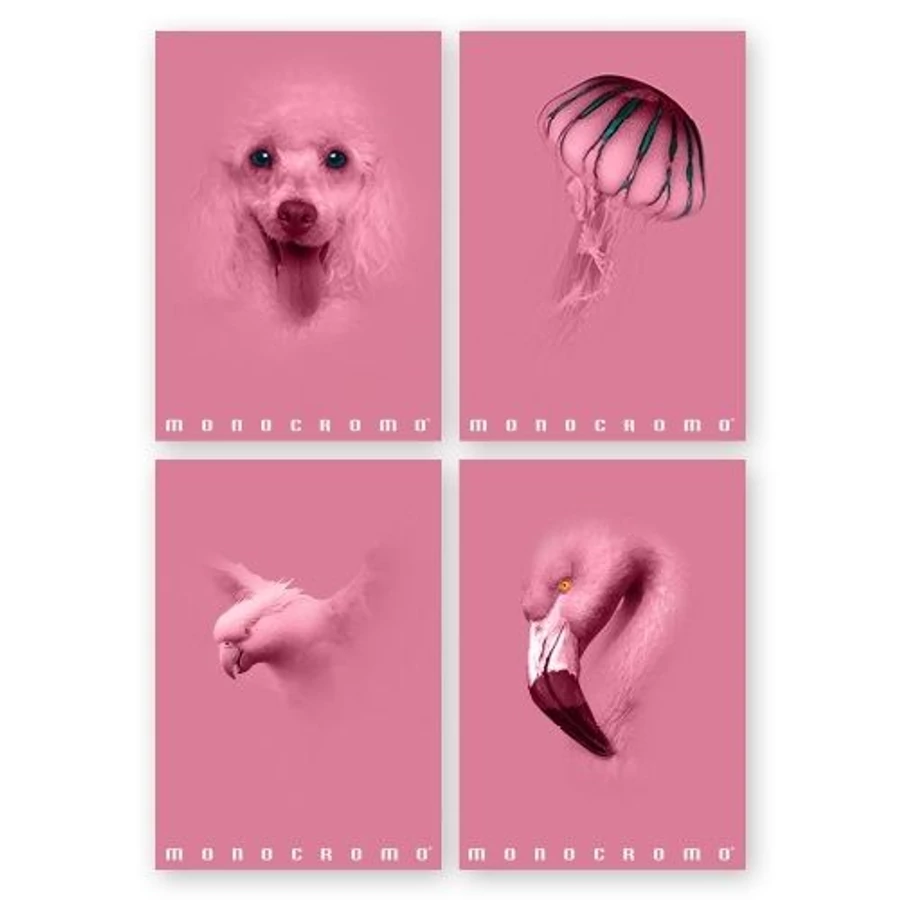 FÜZET A4 PIGNA kockás 38lap Monocromo Pink