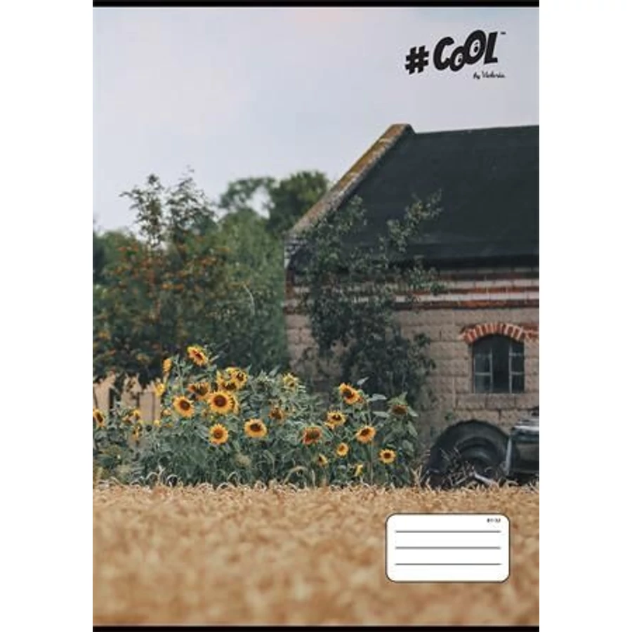 *59176 FÜZET A4  COOL by Victoria