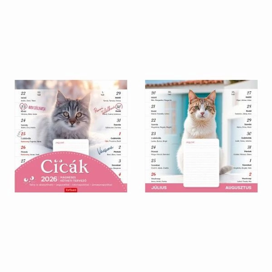 *59940 FALINAPTÁR 2026 családi tervező Cicák TopTimer kétheti mágneses T090-01