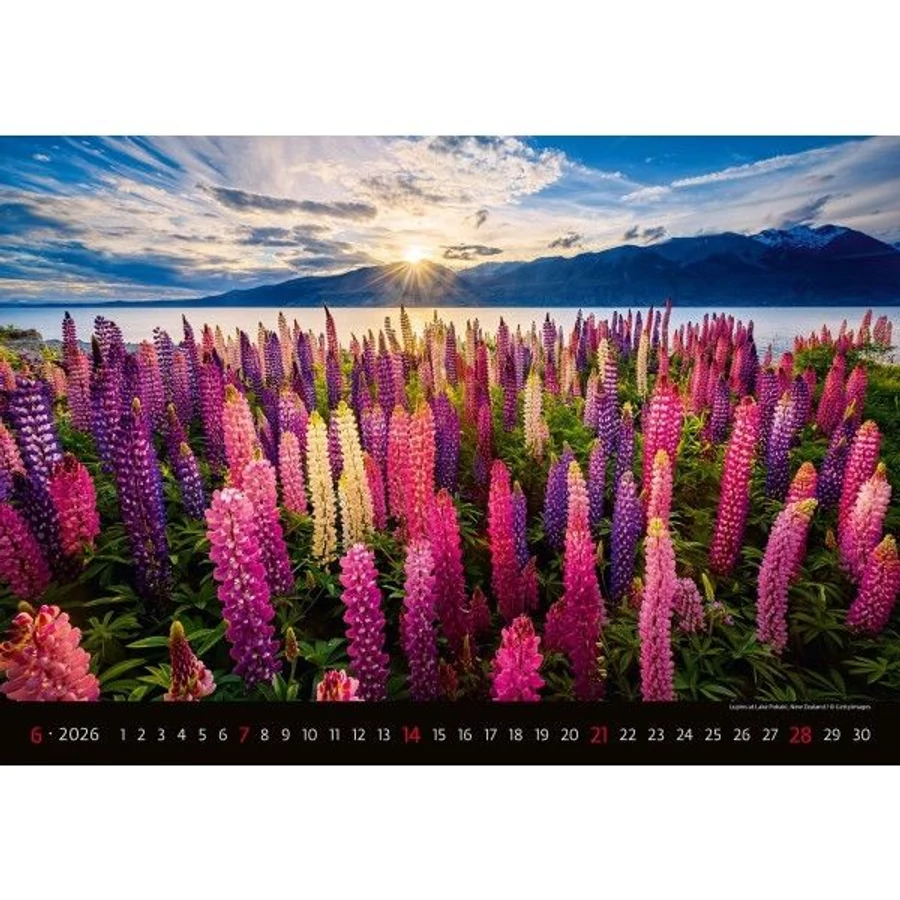*59986 FALINAPTÁR 2026 Landscapes tájak GOS H128   45*31,5cm