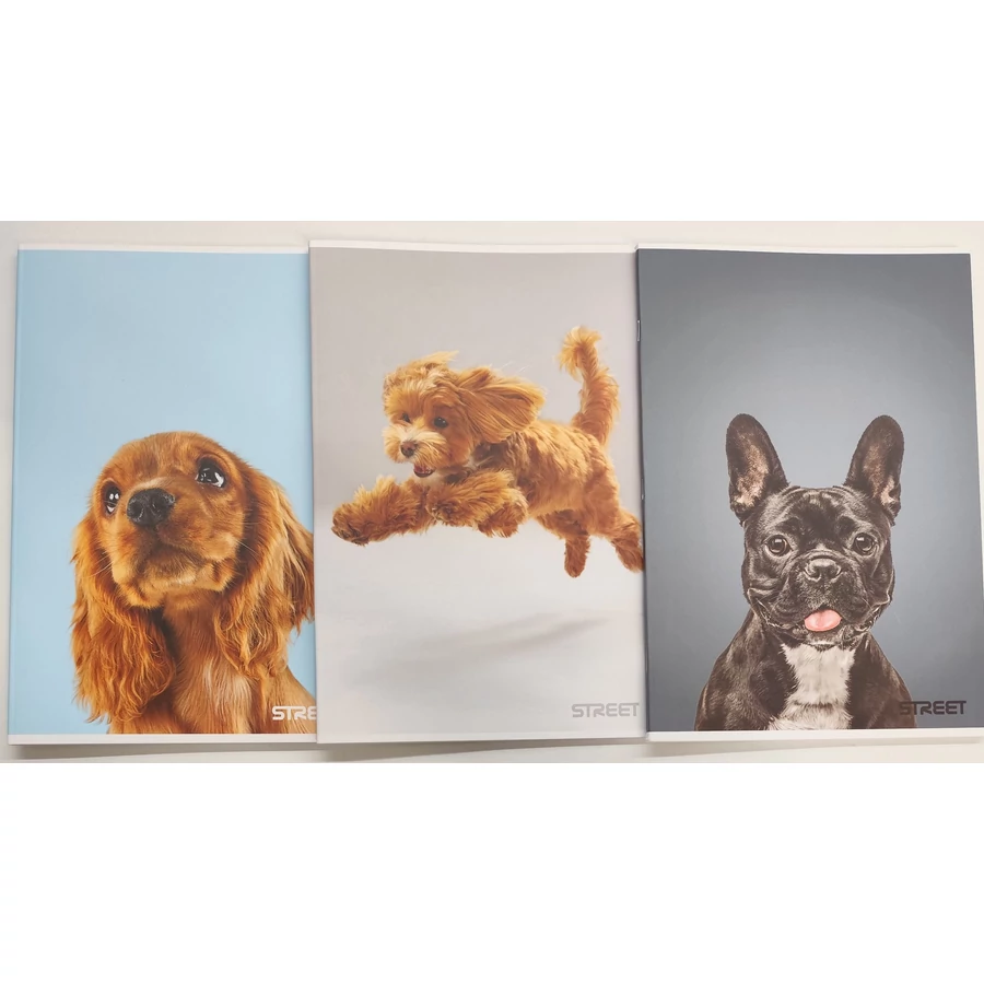 FÜZET A4  STREET 54l sima Friends vegyes mintás 63323