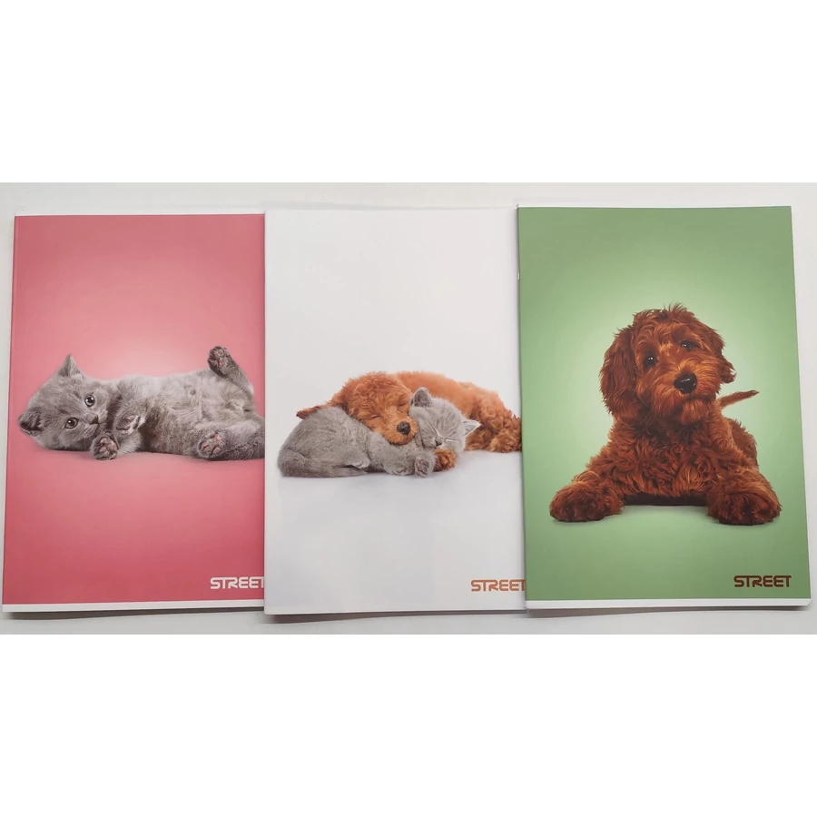 *60789 FÜZET A4  STREET Friends vegyes mintás sima 54l   63322