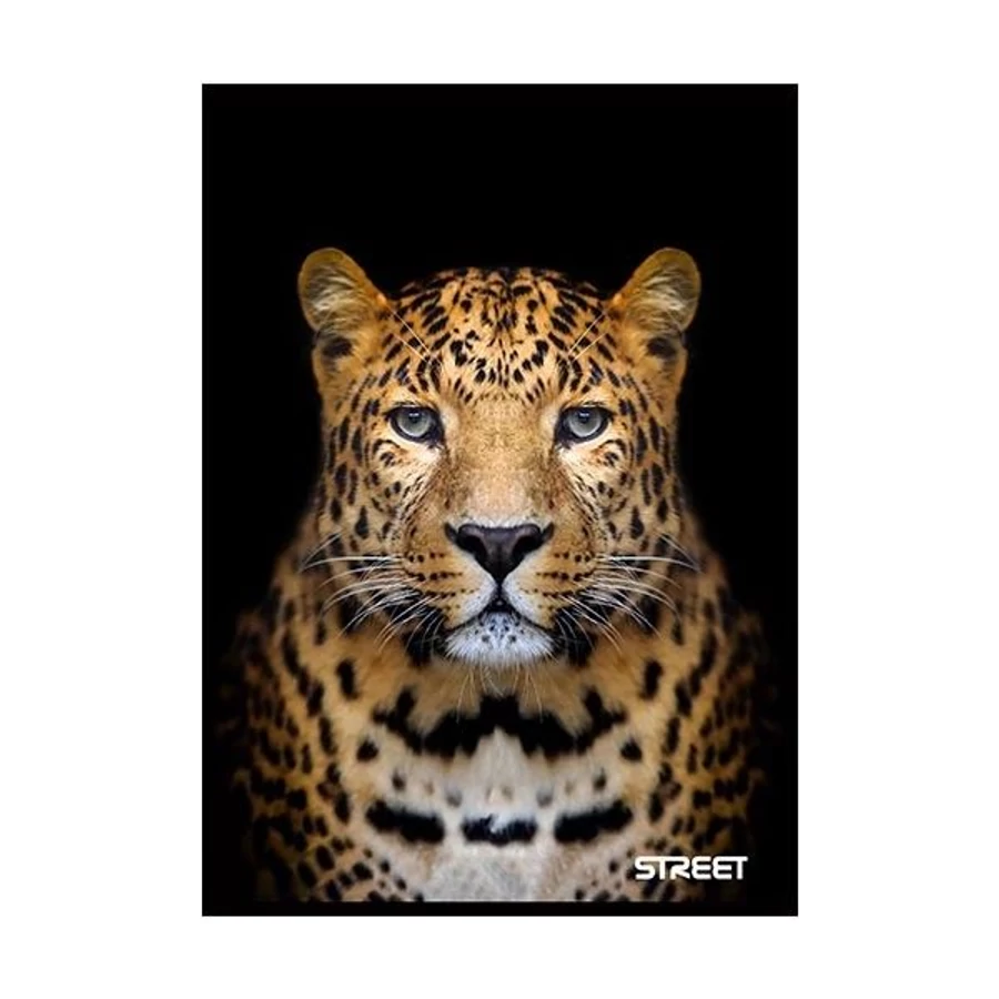 FÜZET A5  STREET 54l vonalas Safari 65884