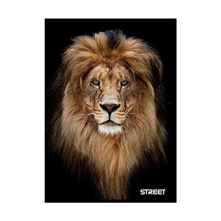 *60796 FÜZET A5 vonalas STREET Safari 54 lapos  65883