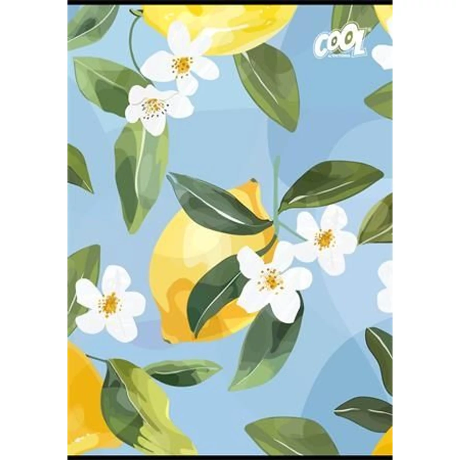 *60893 FÜZET A4  COOL by Victoria  