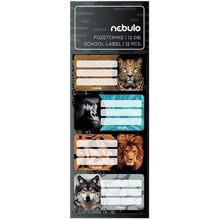 *61087 FÜZETCIMKE NEBULO 12db/cs. vegyes minták