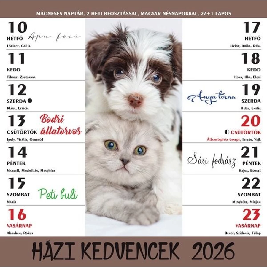 *61773 FALINAPTÁR 2026 Házi kedvencek kétheti mágneses 22*22cm