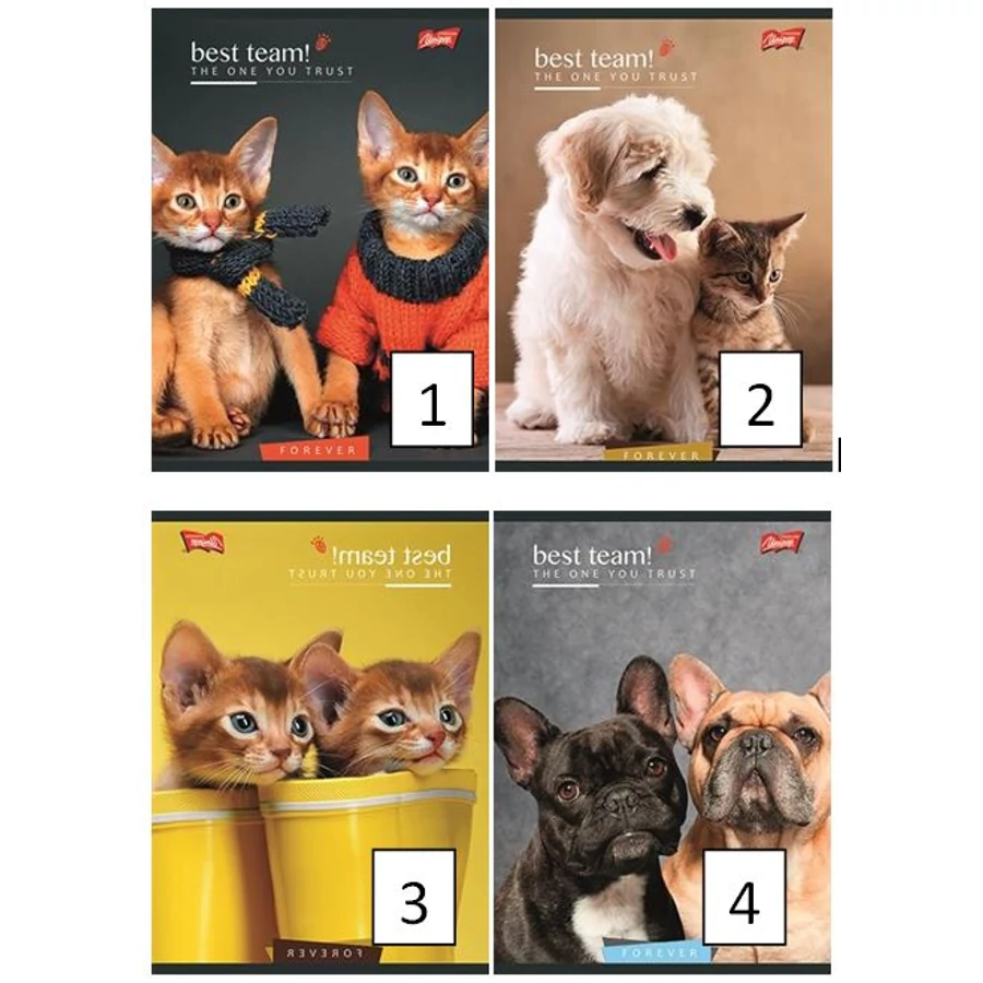 FÜZET A5 UNIPAP 1.oszt.16 32lap  Frozen, Friends, Goal (Best Team, UNBT532V1)