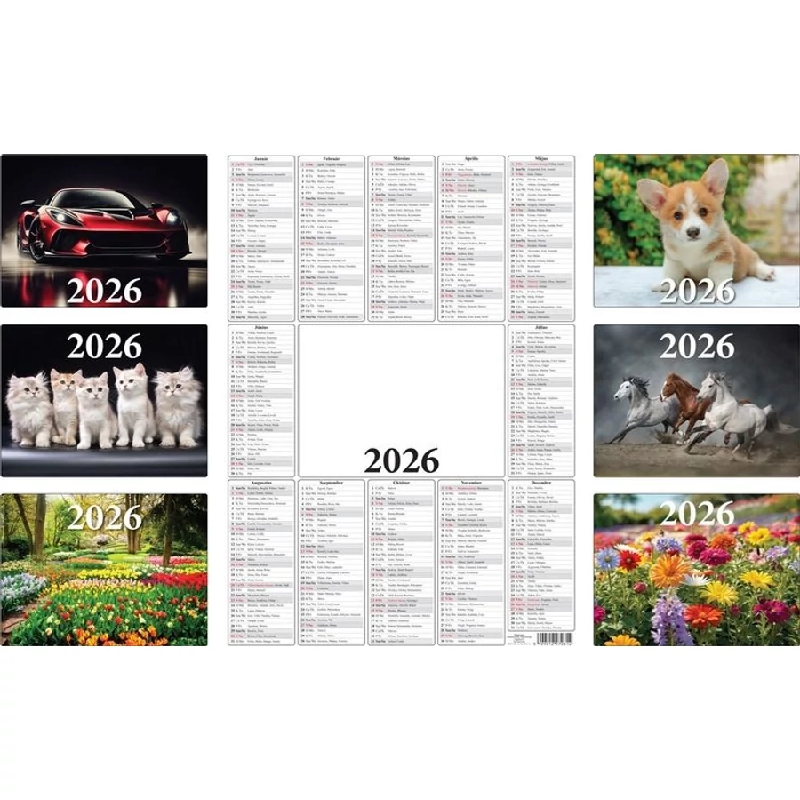 *50660 PLAKÁTNAPTÁR 2026 A3 297*420mm T-Calendar éves tervező mintás