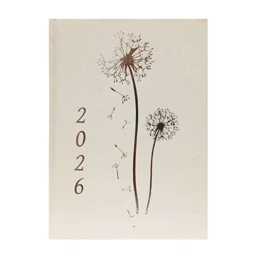 HATÁRIDŐNAPLÓ 2026 B6 heti LIV vegyes színekben