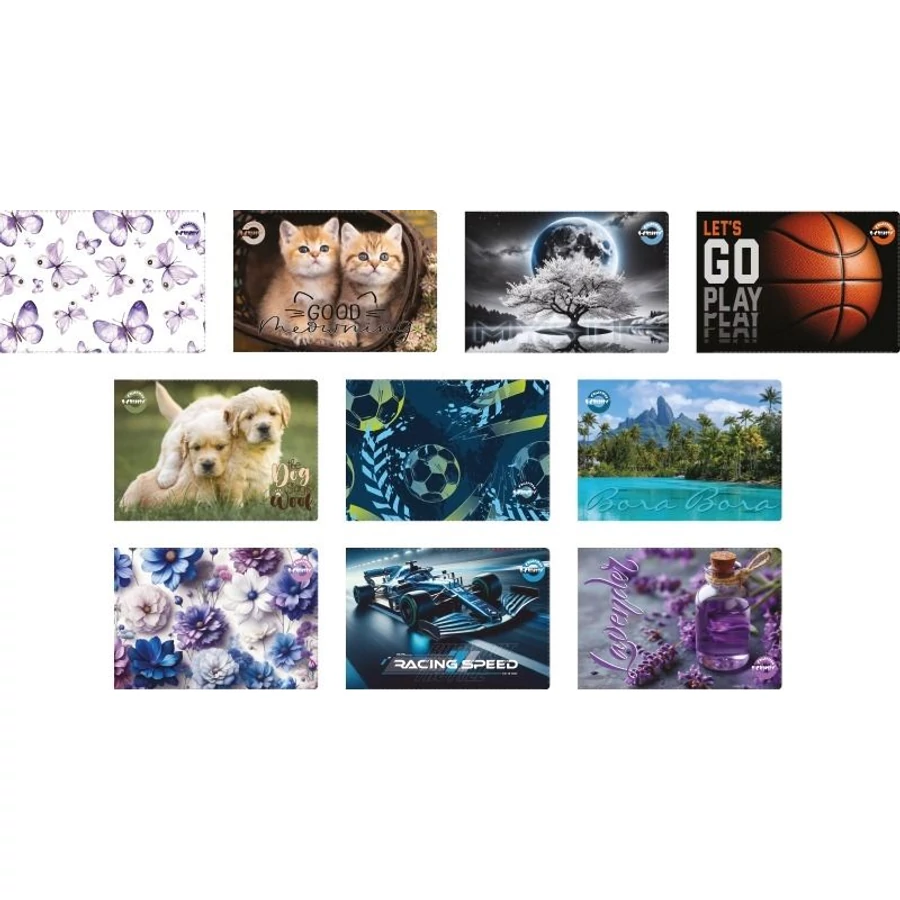 *57412 DIÁKIGAZOLVÁNY TARTÓ PVC fekvő, kemény T-Creatív 4 tasakos