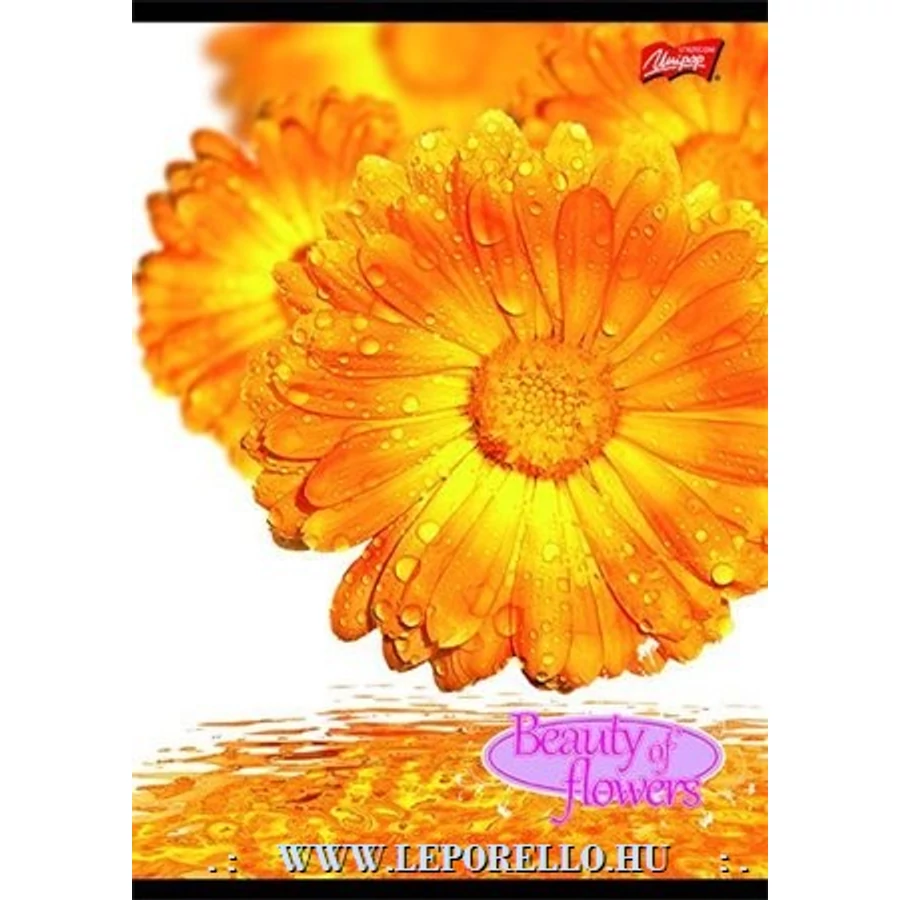 FÜZET A4 UNIPAP vonalas 32lap