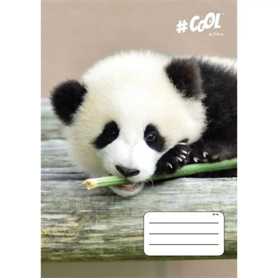 FÜZET A4  VICTORIA  kockás 32lap