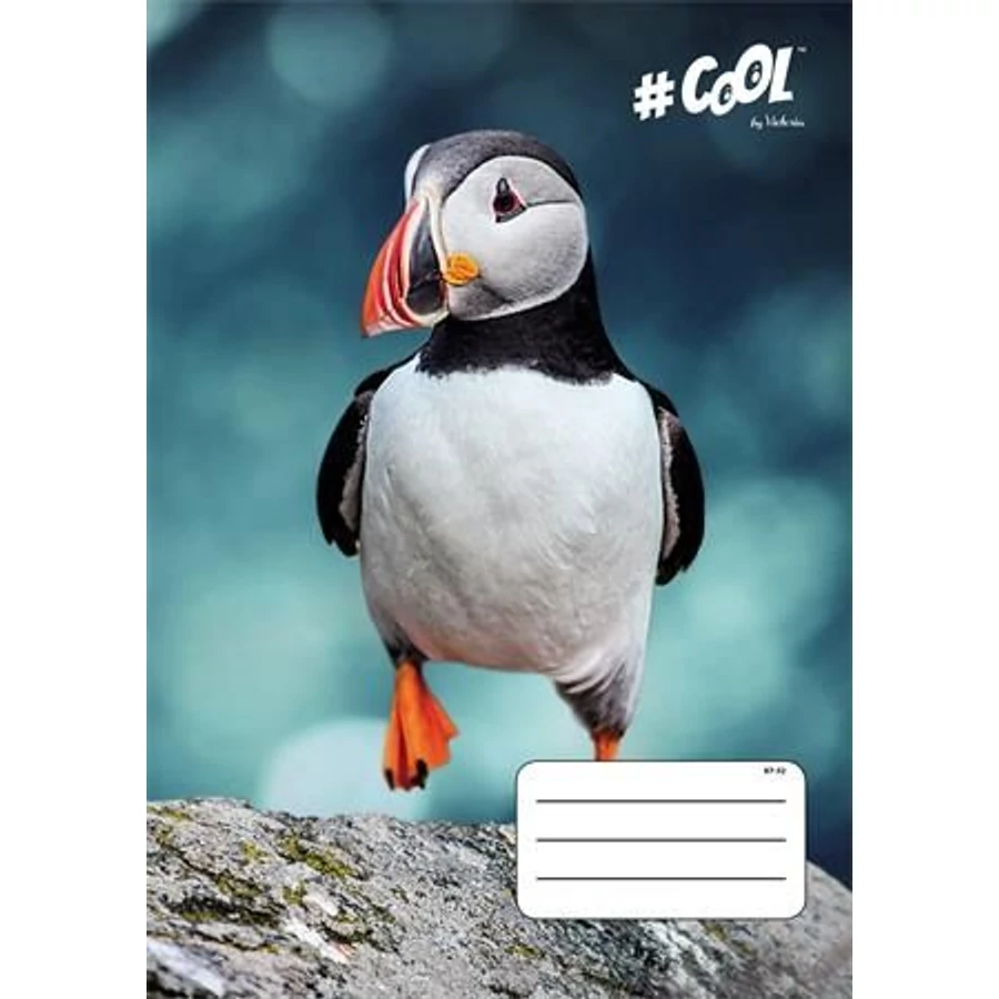 FÜZET A4  VICTORIA  kockás 32lap