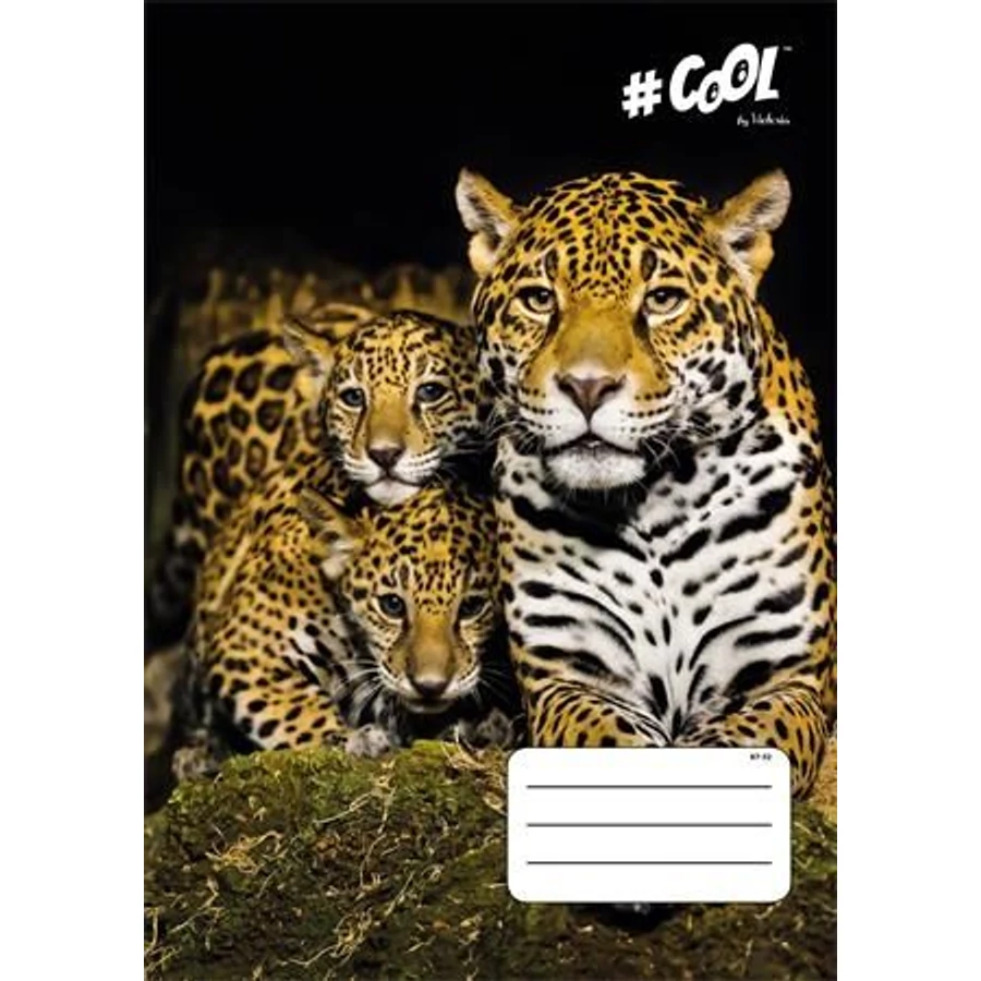 FÜZET A4  VICTORIA  kockás 32lap