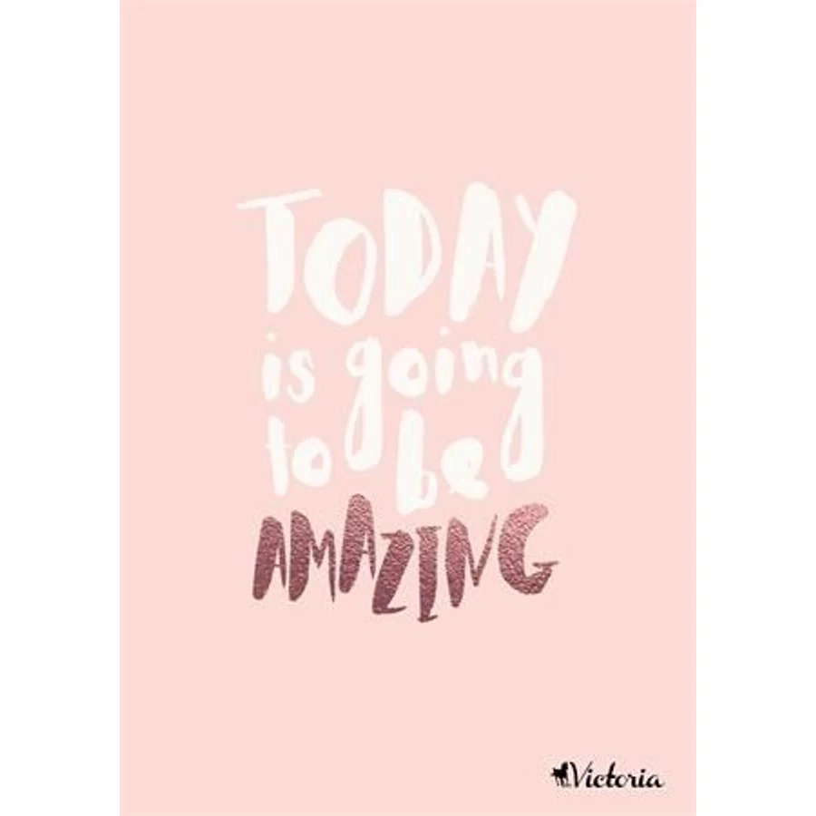 FÜZET A4  VICTORIA  mintás sima 96l vegyes minta (Paris Love, ISVFPPL496TS)