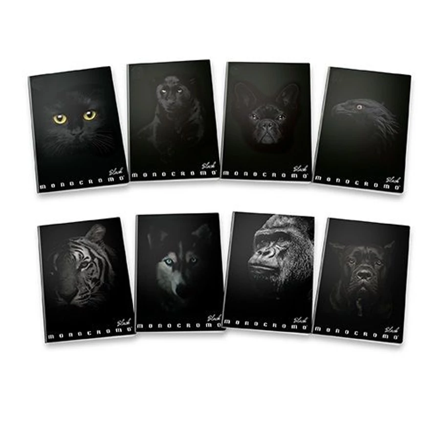 FÜZET A5 PIGNA vonalas 42lap Monocromo Black