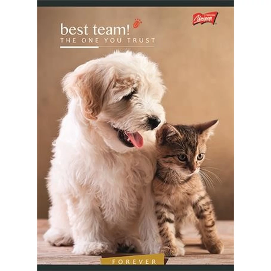 FÜZET A5 UNIPAP 1.oszt. 14-32 32lap  Goal and Fire, Best time, (Best Team, UNBT532V1)