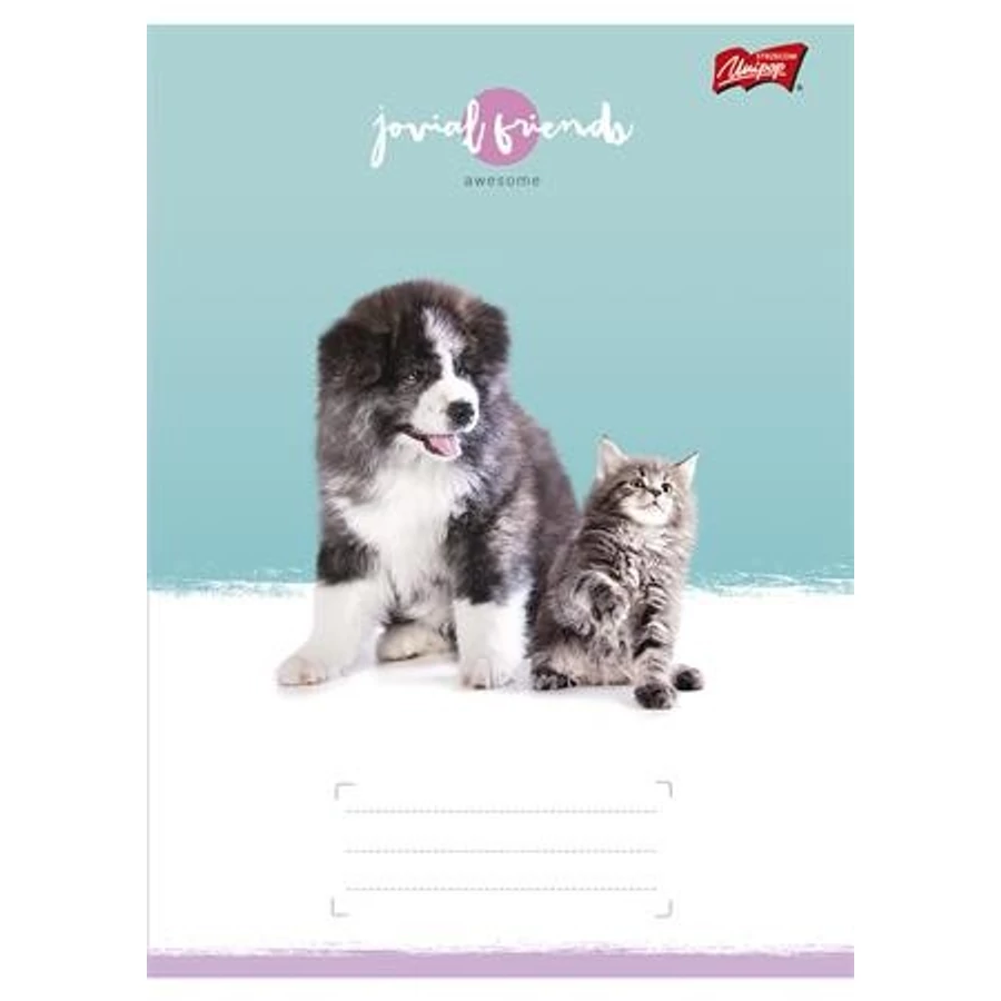 FÜZET A5 UNIPAP 1.oszt. 14-32 32lap  Goal and Fire, Best time, (Friends, UNFRI532V1)