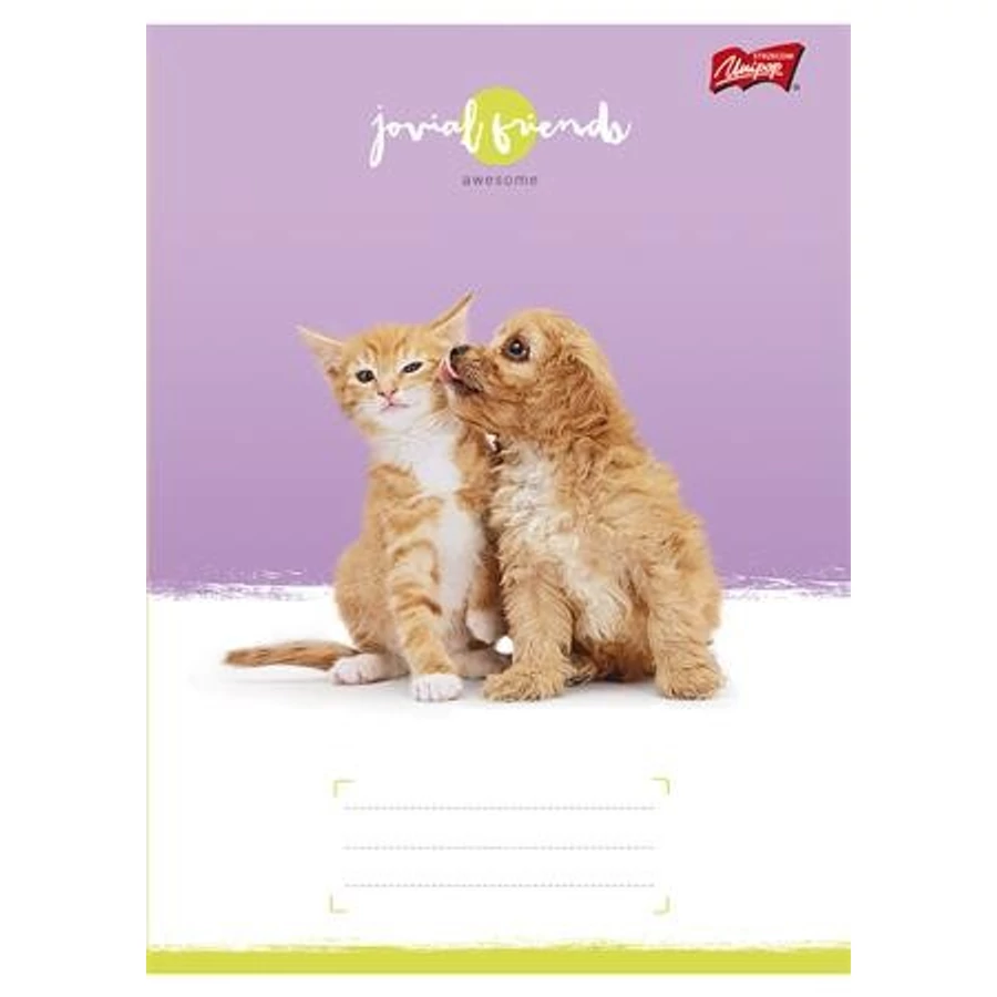 FÜZET A5 UNIPAP 1.oszt. 14-32 32lap  Goal and Fire, Best time, (Friends, UNFRI532V1)