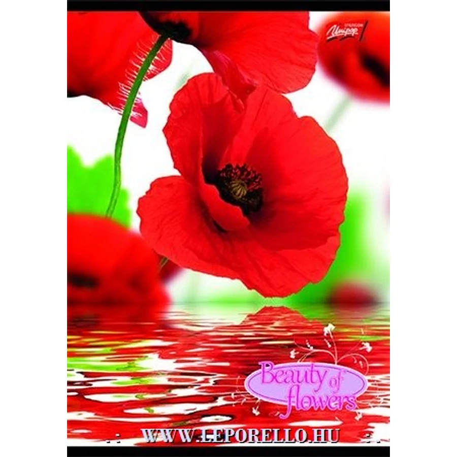 FÜZET spirál A4 UNIPAP vonalas 80lap