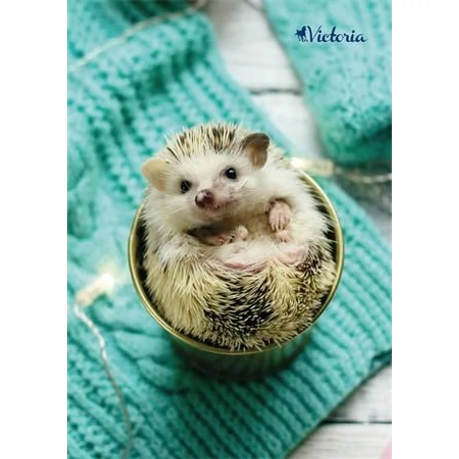 FÜZET spirál A4 VICTORIA mintás 80lap vonalas vegyes minta (Animals, ISVFPAN480SV)