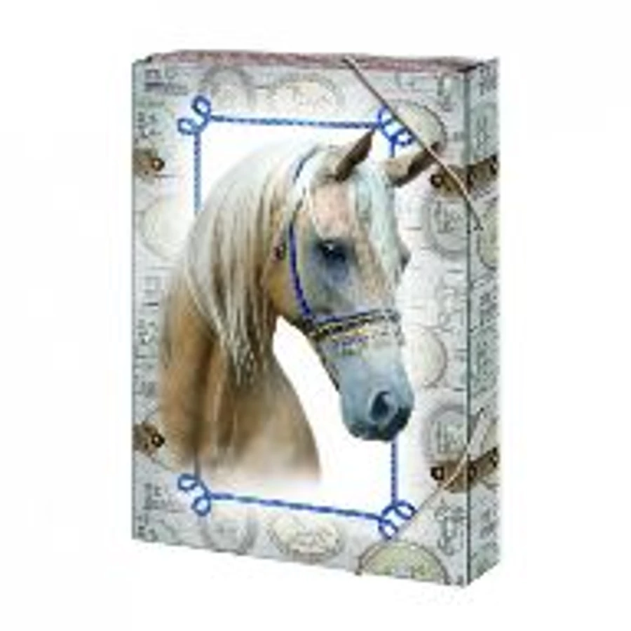 *29691 FÜZETBOX A4 ARGUS vegyes minta -1231-1232-..