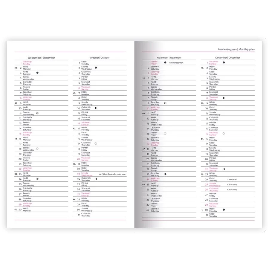 *52805 HATÁRIDŐNAPLÓ 2026 B5 heti tervező Lizzy