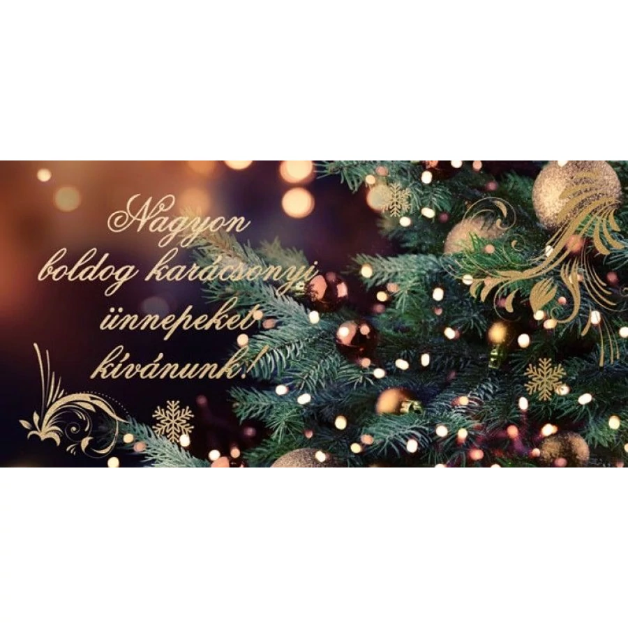 KÉPESLAP LA4 boritékos ezüstözött zsebes LIZZY karácsony