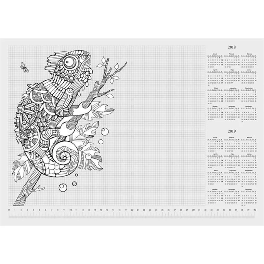 KÖNYÖKLŐ PANTA PLAST A3 410*275mm, színezhető, virágos,kaméleon