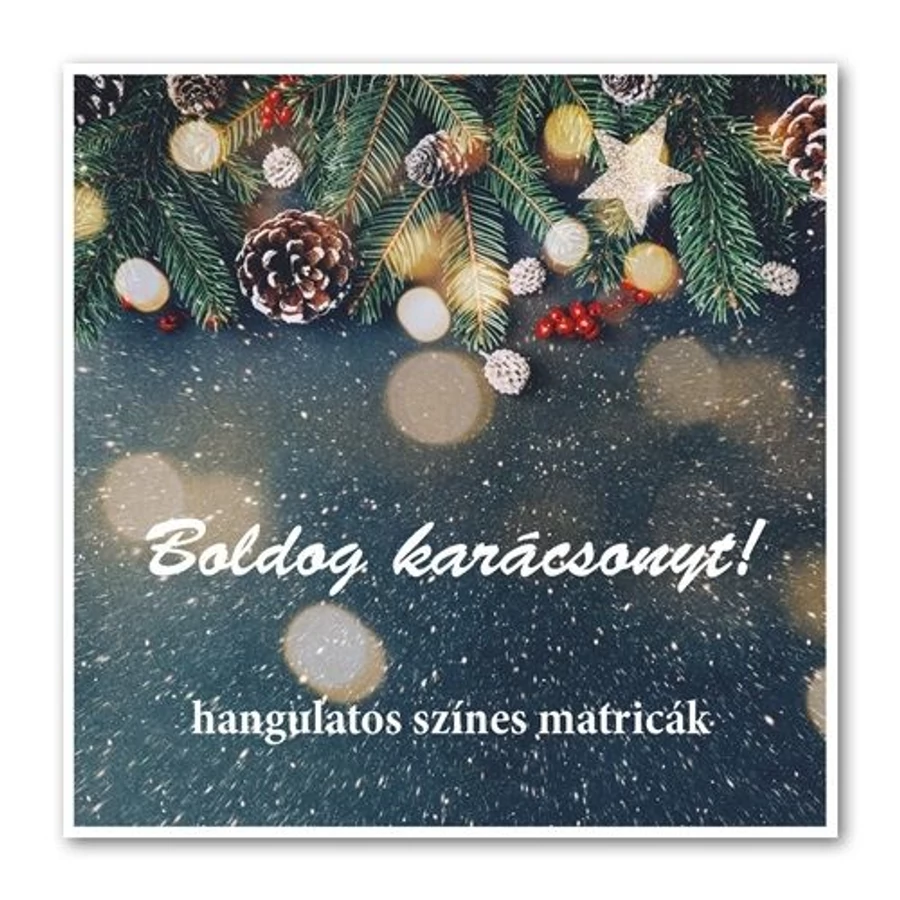 MATRICÁS KÖNYV pd 10*10  Karácsony