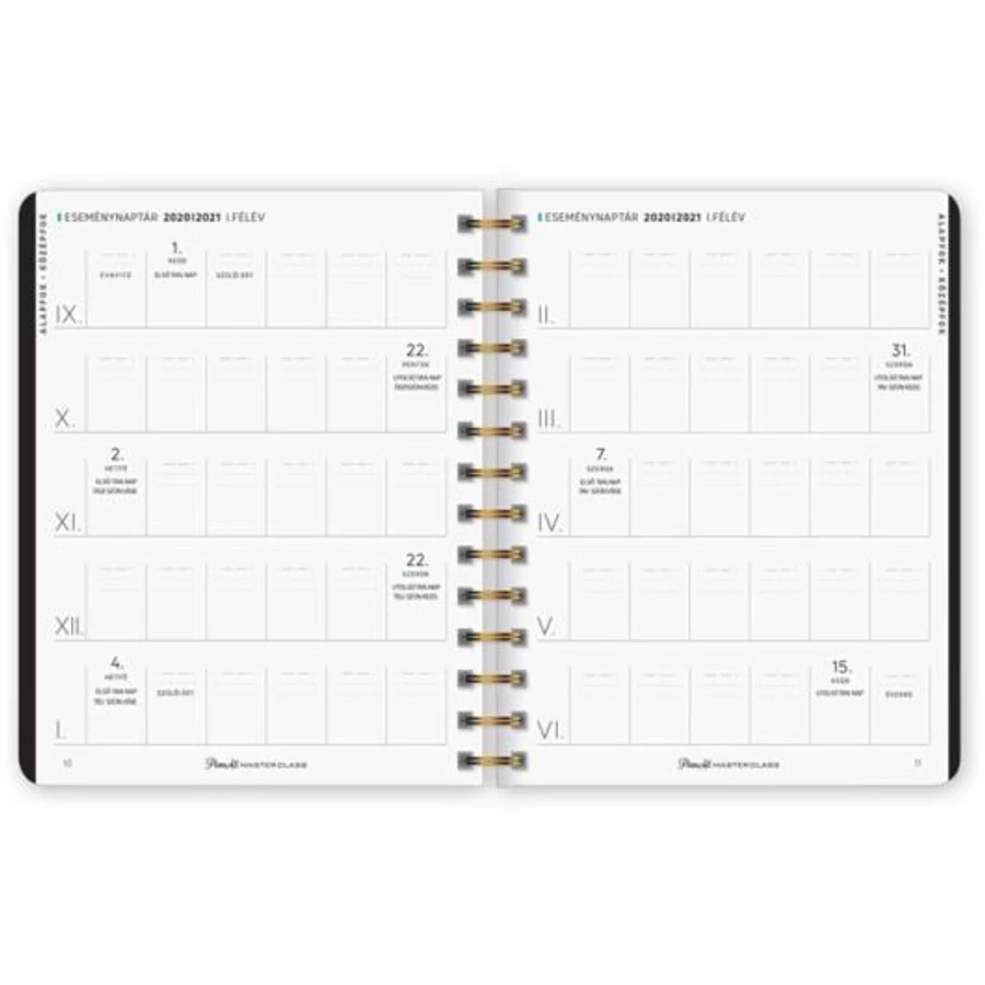 TANÁRI ZSEBKÖNYV 2020-2021 LIZZY B5 PlanAll MasterClass (Aloha, 20812199)