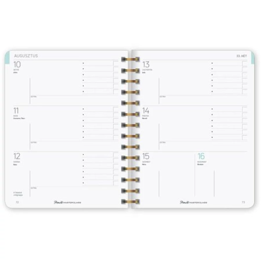 TANÁRI ZSEBKÖNYV 2020-2021 LIZZY B5 PlanAll MasterClass (Aloha, 20812199)
